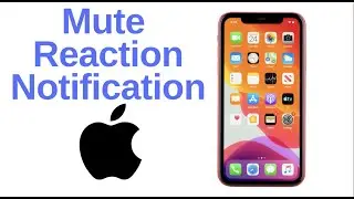 How to Mute Reaction Notifications on WhatsApp on iPhone
