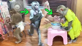 [Judee S0 Much Caring Jessi] Huq & Kss Left & Right..