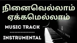 Ninaivellaam Yaekamellaam | Instrumental | Music Track | #alwinthomas #ruah