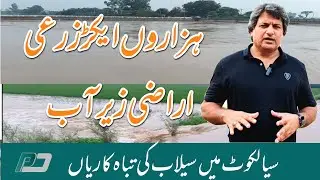 سیالکوٹ میں سیلابی صورتحال | نالہ ڈیک کی تباہ کاریاں | زرعی اراضی اور دیہات زیر آب