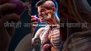 What happens to eat onion 3D animation #facts #human anatomy #3danimation #yougotthis #doctor