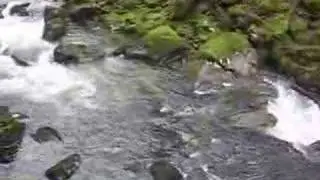 river plym
