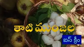 తాటి ముంజల ఐస్ క్రీం  | Ice Apple Ice Cream | RSP Recipes
