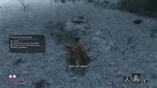 [PS5 Pro] Sekiro: Shadows Die Twice