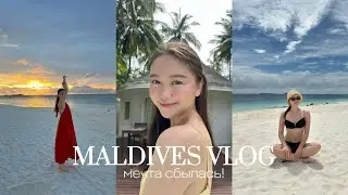 4. VLOG | Мальдивы, медовый месяц, плюсы и минусы, круиз с дельфинами, рыбалка.
