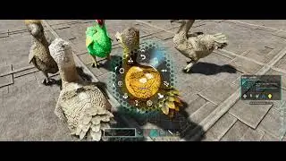 FE   ASA Breeding with Mods