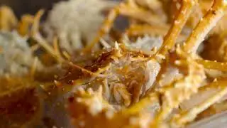 Crabs are decapod crustaceans of the infraorder Brachyura