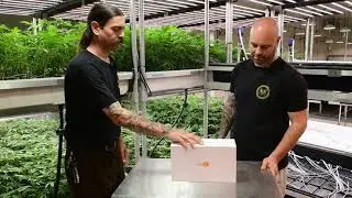 EL3 Unboxing Hype
