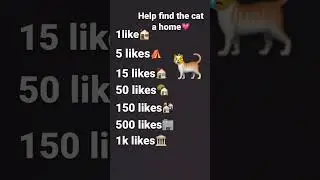 Where does the cat live now? #viral #cat #sad