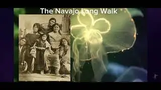 Love & Tot Native American Research (Jan 2026)