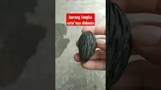 penemuan barang langka , pertama kali baru melihat benda seperti ini ?? #shorts