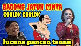 BAGONG JATUH CINTA👉lucune jan gawe weteng mules