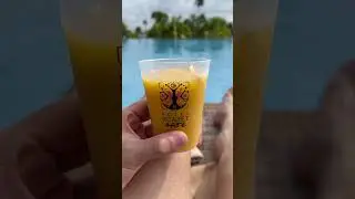 Hotel Xcaret Arte Drinks by the Pool
