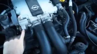 MV6 x30xe stock