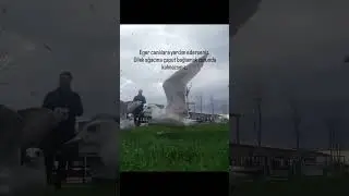 Merhamet en g&uuml;zel kıyafettir.