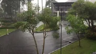 RAIN SOUNDS FOR SLEEPING ‼️ | Cozy Rainy Bedroom &middot; No Thunder 🌧️ #rain