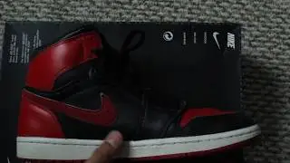2001 Nike Air Jordan 1 BRED ON FEET