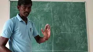 Applications of Group Theory in Cryptography