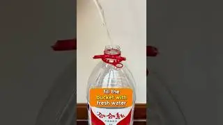 Make your own automatic water feeder for your cat in minutes ! ❤️💕😊#petfeeder #cat #pets