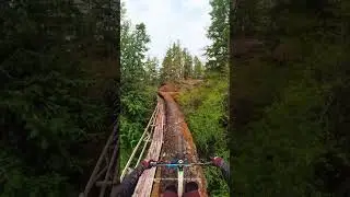 MTB through hidden forest tube&mdash;Osmo 360 POV 🚵&zwj;♂️