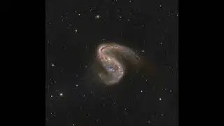 2026, 29 января &mdash; NGC 2442: Галактика в Волансе