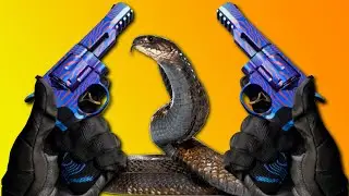 Akimbo Snakeshot 357 Loadout Updated!!! Best Modern Warfare Class Setups!!! MW Season 5