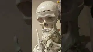Skeleton mewing meme