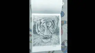 Realistic Tiger drawing ft. Kacha Badam THE ART CREATOR RONITTH #shorts #viralvideo #ytshorts