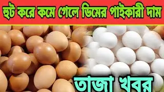 হুট করে কমে গেলে ডিমের পাইকারী দাম Ajker  Dimer Bazar j Egg ni Bangladesh today হাঁসের ডিমের দাম কত