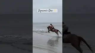 Всегда был скаковой лошадью в душе ❤️ Участник Кентуккийского дерби Dynamic One