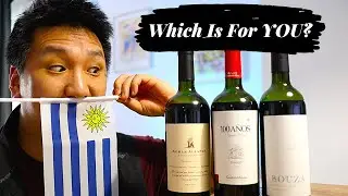 Tannat: Signature Uruguay Wine Grape