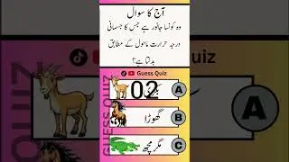 Top Urdu General Knowledge Question and answer gk quiz #gk #shortsfeed #quiz
