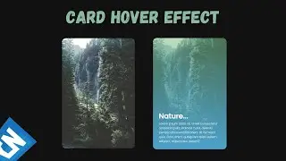 Card Hover Effect using HTML CSS || No JavaScript
