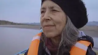 MOVIMIENTOS DE TIERRA - CECILIA VICUÑA