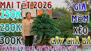 18/1/2026☎️0368451256(Mến huynh)🔥xổ rẻ 22 mã số hàng bonsai già mùa đế víp ship luôn cả chậu giá rẻ
