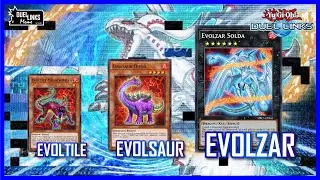 EVOLTILE - EVOLSAUR - EVOLZAR! Evo-Singularity! [Yu-Gi-Oh! Duel Links]