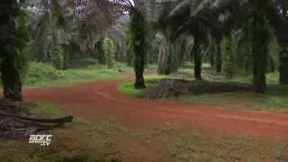 APRC14 Malaysian  Rally - Half-hour TV Programme