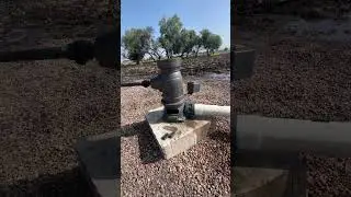 Pozo de agua Bomba vertical y Motor perkins