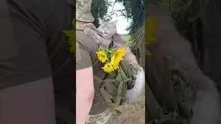 Бойові КОТИКИ ЗСУ;)#разомдоперемоги #animals #military #ЗСУ