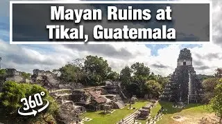 4K 360 - City Walks: Tikal, Guatemala - Explore the Ruins of the Ancient Mayan City