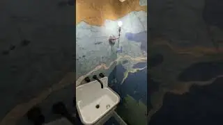 Half Bathroom with nautical theme