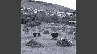 Saknur
