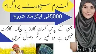 gandum Support Program 2025 | Wheat Subsidy amount Update | Maryam Nawaz Subsidy Program
