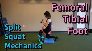 Femoral, Tibial, and Foot Split Squat Mechanics