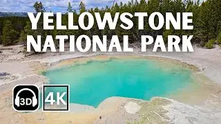 Walk Among Geysers in Yellowstone | 4K & Binaural Audio