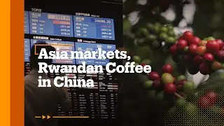 Rwandan Coffee in China, Steel Industry Shifts, and Asia Market Updates 🌍☕📉