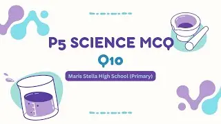 PSLE SCIENCE | EP50 | P4 Heat | How to Tell the Direction of Heat Flow | MSHS(P) 2024 WA2 MCQ Q10