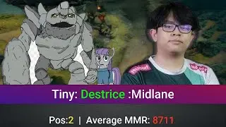 Tiny Perspective by Destrice | @1440p | Midlane Pos:2 |  |5865293989