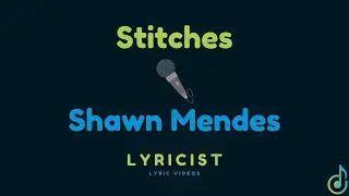 Stitches | Lyrics | Lyricist