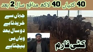 Small Katti Farming in Punjab| How to Start Katti Farming in Pakistan| Katti Farming Business Plan